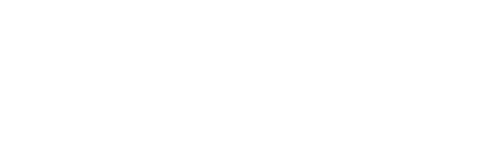 APG Automotive